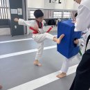 TL태권도 이미지