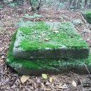 강원대학교박물관 이미지