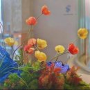 스테이 여정 이미지