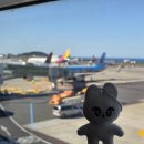 파 워 넷 | 야경 전혀 관심 없는 (씹덕) 여자들의 상하이 여행기 (1-2일차)