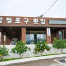 제주 담앤루리조트 맛집 가성비에 맛까지 완벽한 강정포구횟집