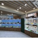 행복한 강아지 이미지