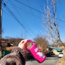 왕생굴구이식당 이미지