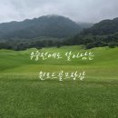 골프용품준비물 골프장갑 추천 윈로드장갑19호 착용후기