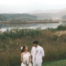 푸루스플라워