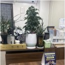 세무사이정우사무소