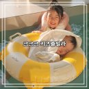 크크크키즈풀빌라(다) | 여행] 아이들이랑 가기 좋은 고창 크크크 키즈풀빌라 2박 투숙 후기 (불멍, 바베큐, 양 먹이주기, 조식...