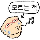 센트팩토리