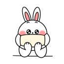 다루헤어 이미지