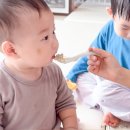후기이유식 식단표 아기 칼슘 챙기는 그로우뉴 조합까지
