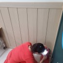 제천어린이집 이미지