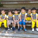 춤추는 신데렐라 이미지