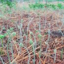 달이네찬 이미지