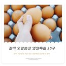 살미농장 이미지
