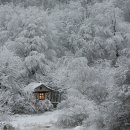 춘천로17번길 네이버블로그