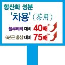 천기누설 방영, 해죽순 무료나눔(2분) 이미지