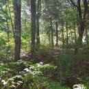 정남진골프연습장 이미지