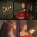 송헤어뉴스