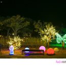 낙조분수 이미지