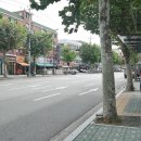 일층부동산공인중개사사무소 이미지