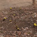 남산공원 일주로 이미지