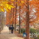 월성동행정복지센터 이미지