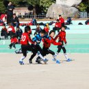 금정초등학교 3 이미지