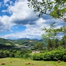 유포리목장 이미지