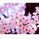 정다운노인복지센터 이미지