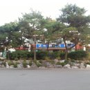 대구교도소 Daum카페