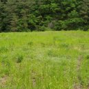 울진공인행정사 이미지