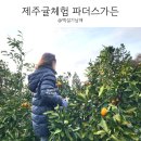 제주귤체험 서귀포 파더스가든 동물먹이주기 첫째날