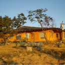 김영춘농장 이미지