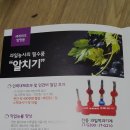 과전동 이미지