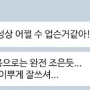 세니케이크