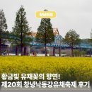 영남종합정비 | 황금빛 유채꽃의 향연! 제20회 창녕낙동강유채축제, 생생한 후기를 전해드립니다.