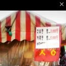 센스쟁이 이미지