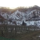 유순농장 이미지