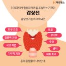 연수백세한의원 | [송도PT/ 송도 피티] 혹시 나도 갑상선 질환..? 알아보아요