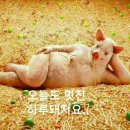 술담 이미지
