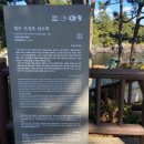 쇠소깍깡통열차 | 제주 여행] 초등학생+어른들 액티비티 추천! 쇠소깍 +깡통 열차 12월 후기 (쇠소깍 깡통 열차 할인받는 법)