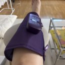 송죽정 본점 | 임신일기 #20) 26주-29주 제주도 태교여행, 아시아나항공 임산부 혜택 및 좌석지정, 신라호텔, 신화월드...