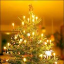 엘도라풀빌라펜션 이미지