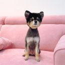 그루밍루나 이미지