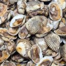 벌교택배 이미지