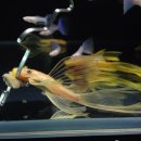 조은사료 이미지