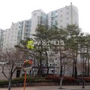 진산로66번길 Daum카페