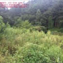 구송초 화성분교장 이미지