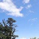 산이좋은사람들 | 8월 여름 함백산 등산 [안내산악회 좋은사람들] 후기