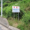 지우네꽃밭 이미지